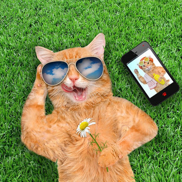 5d Cat Diamond Painting Kit Premium-74